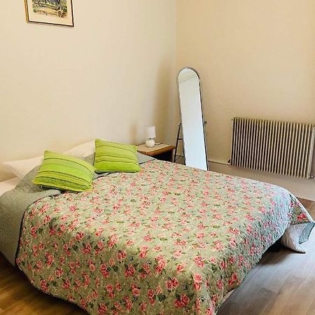 Appartement cosy Colmar Buitenkant foto