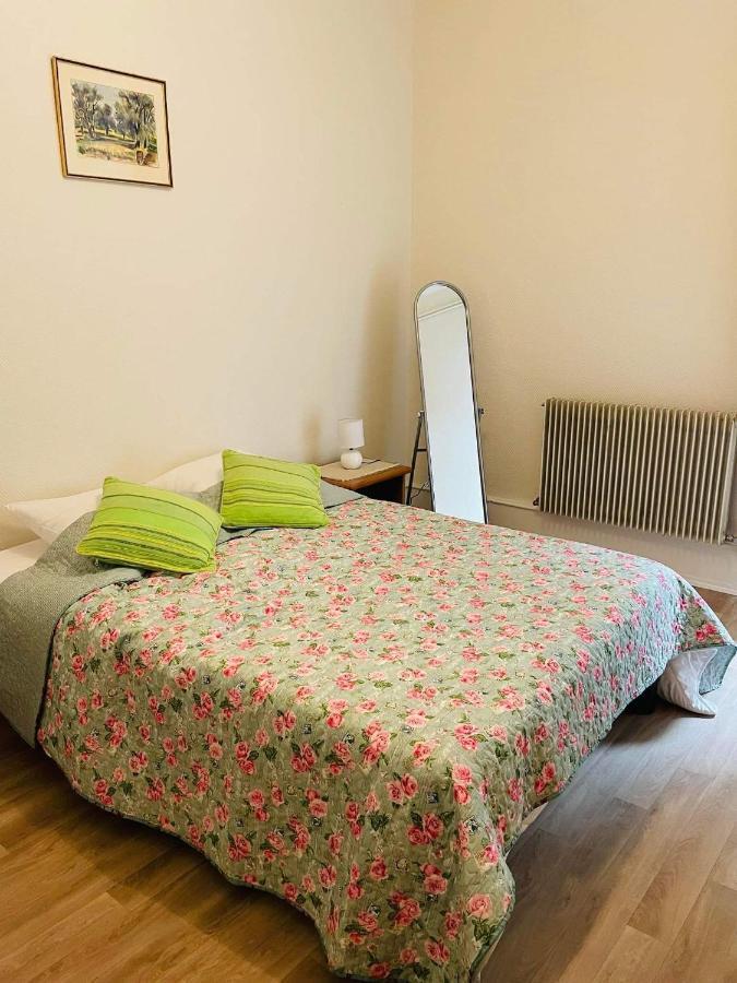 Appartement cosy Colmar Buitenkant foto
